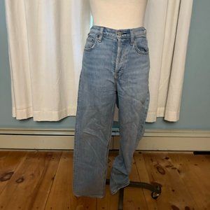 Aritzia Denim Forum Arlo High Rise Straight 28L